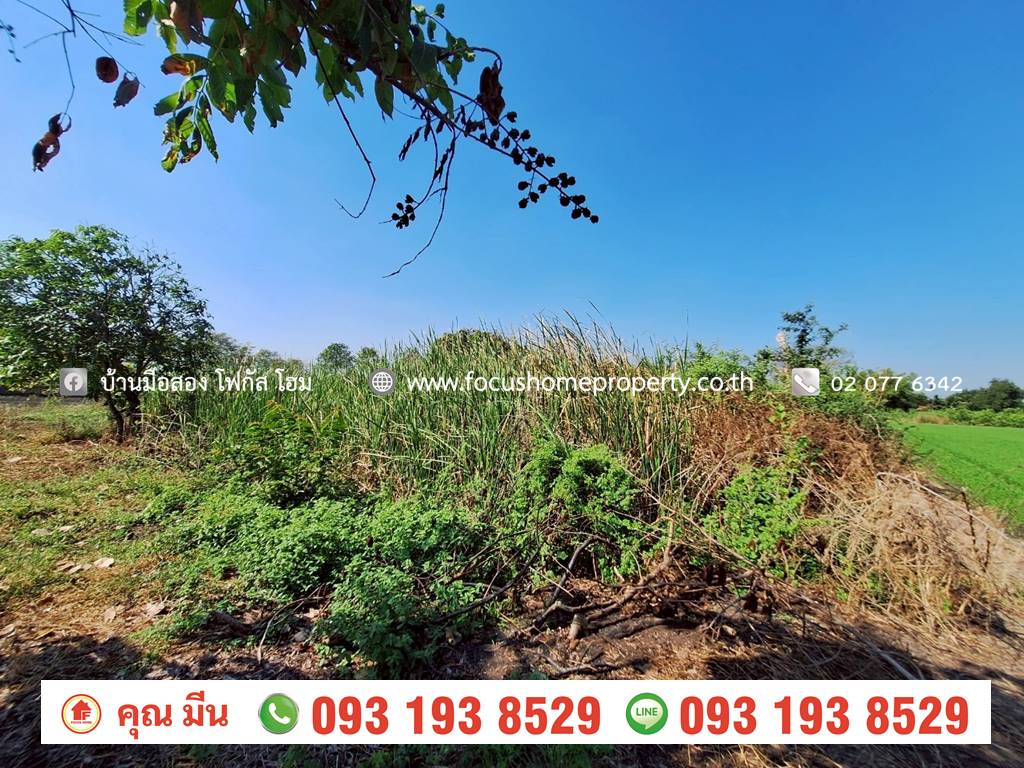 ขาย ที่ดินเปล่า ใกล้วัดเจดีย์หอย ลาดหลุมแก้ว ปทุมธานี