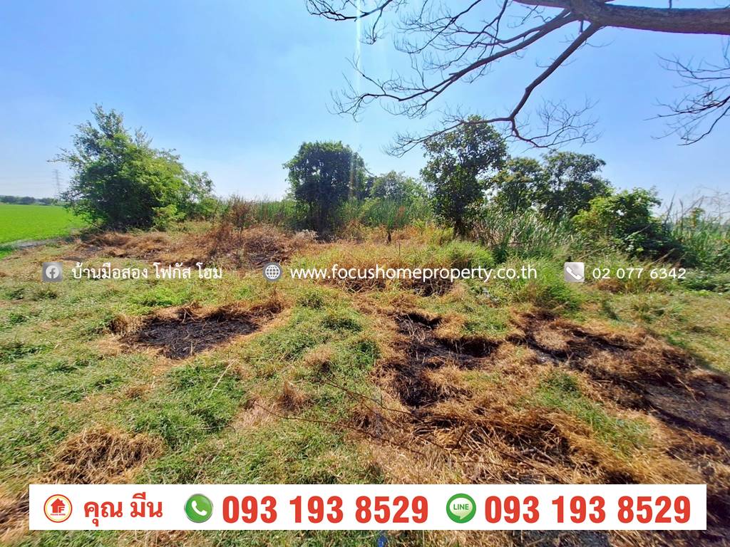 ขาย ที่ดินเปล่า ใกล้วัดเจดีย์หอย ลาดหลุมแก้ว ปทุมธานี