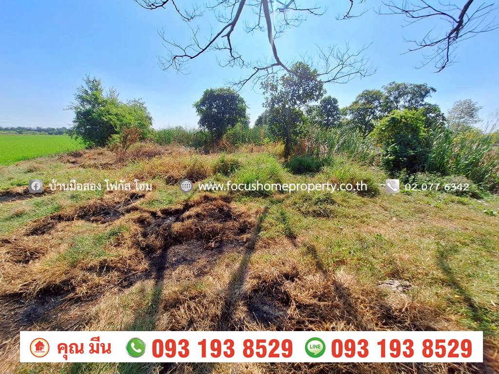 ขาย ที่ดินเปล่า ใกล้วัดเจดีย์หอย ลาดหลุมแก้ว ปทุมธานี