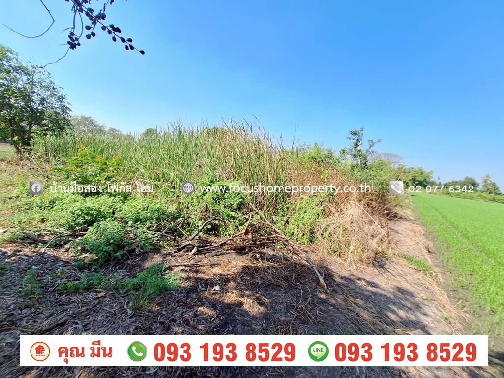 ขาย ที่ดินเปล่า ใกล้วัดเจดีย์หอย ลาดหลุมแก้ว ปทุมธานี