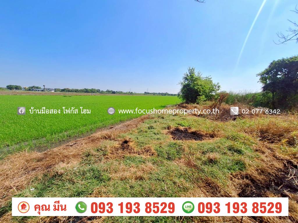 ขาย ที่ดินเปล่า ใกล้วัดเจดีย์หอย ลาดหลุมแก้ว ปทุมธานี