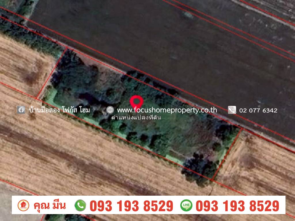 ขาย ที่ดินเปล่า ใกล้วัดเจดีย์หอย ลาดหลุมแก้ว ปทุมธานี