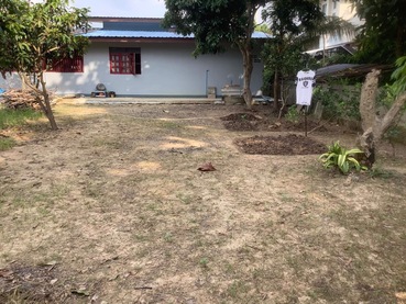 ขายบ้านเดี่ยวชั้นเดียว หมู่บ้านทรายมูล อำเภอแม่จัน จังหวัดเชียงราย