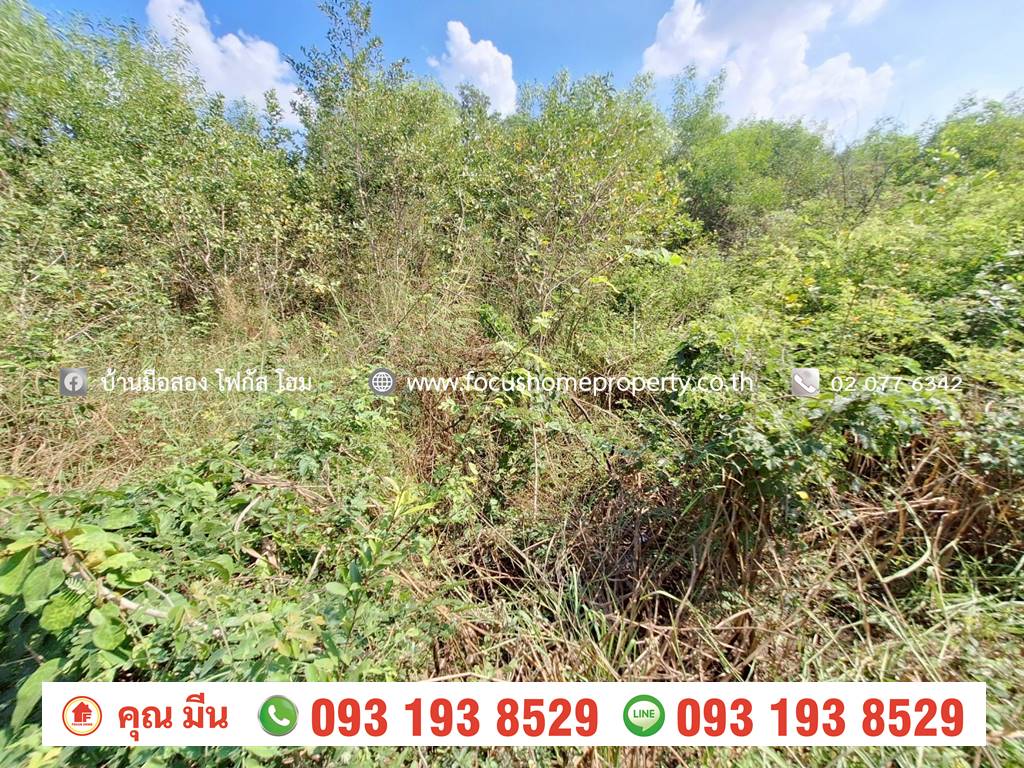 ขาย ที่ดินเปล่า เชียงรากน้อย 17 บางปะอิน