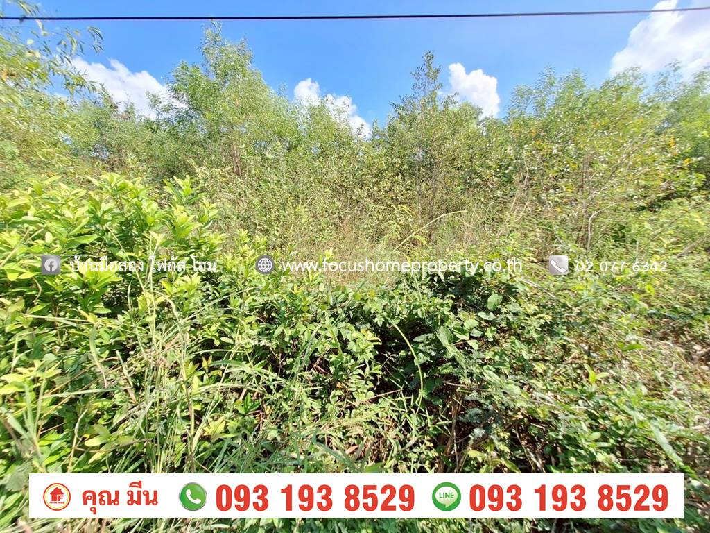 ขาย ที่ดินเปล่า เชียงรากน้อย 17 บางปะอิน