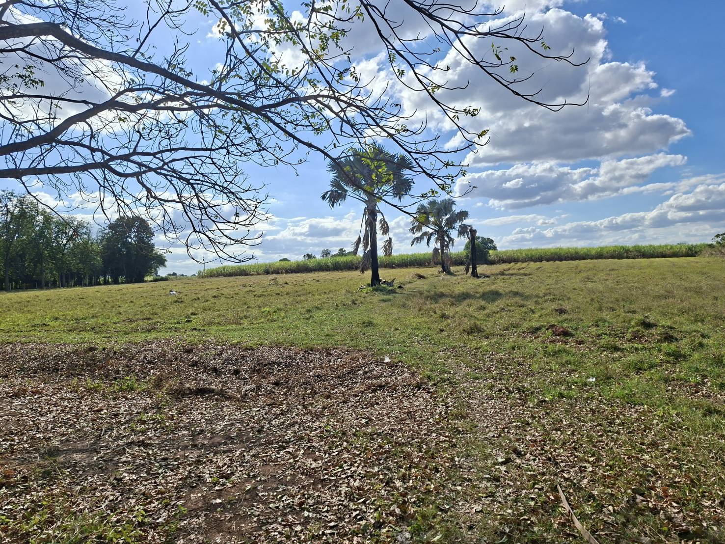 ขายที่ดินพร้อมบ้าน ราคาถูก อำเภอจัตุรัส จังหวัดชัยภูมิ