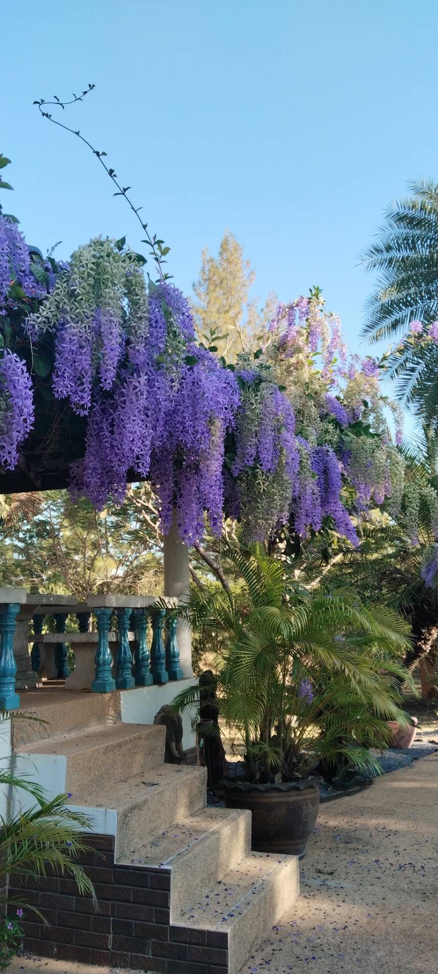 ขายที่ดินพร้อมบ้าน ราคาถูก อำเภอจัตุรัส จังหวัดชัยภูมิ