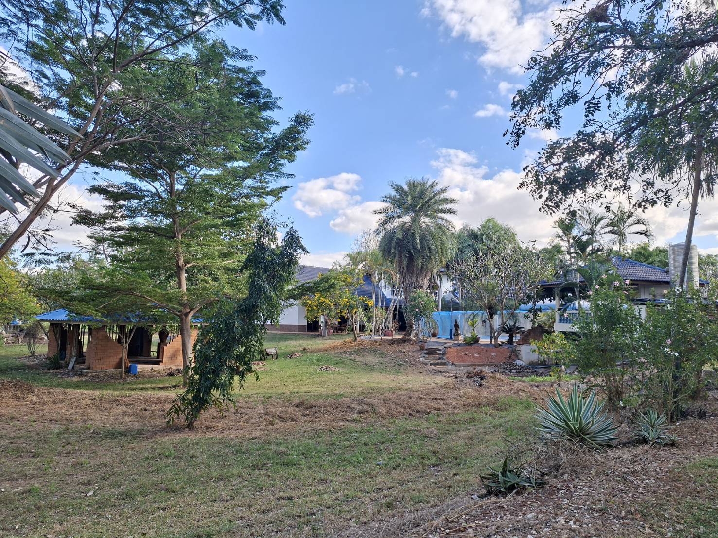 ขายที่ดินพร้อมบ้าน ราคาถูก อำเภอจัตุรัส จังหวัดชัยภูมิ