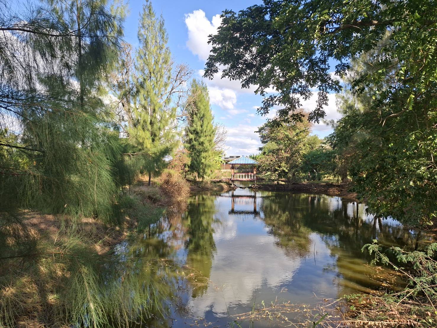 ขายที่ดินพร้อมบ้าน ราคาถูก อำเภอจัตุรัส จังหวัดชัยภูมิ