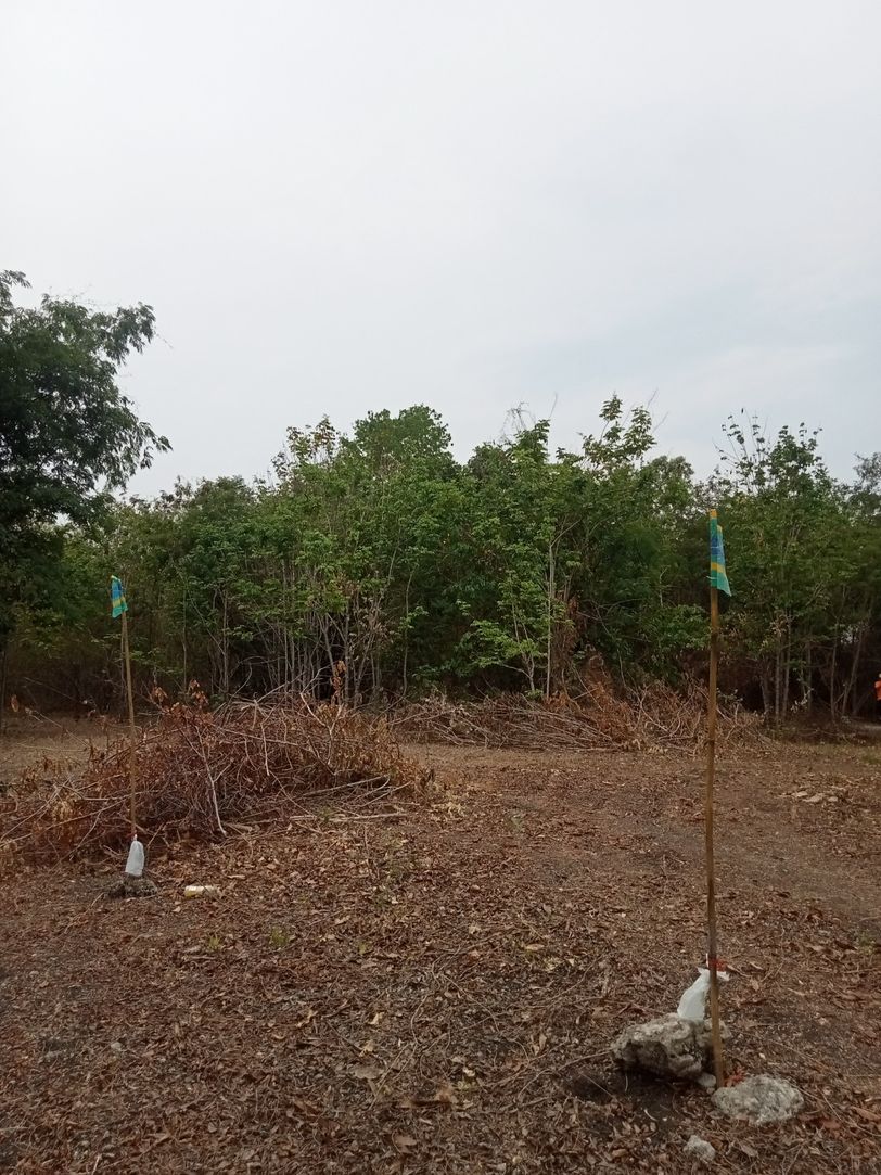 ขายที่ดินเปล่า ราคาถูก ใกล้ชุมชน อ.พระพุทธบาท จ.สระบุรี