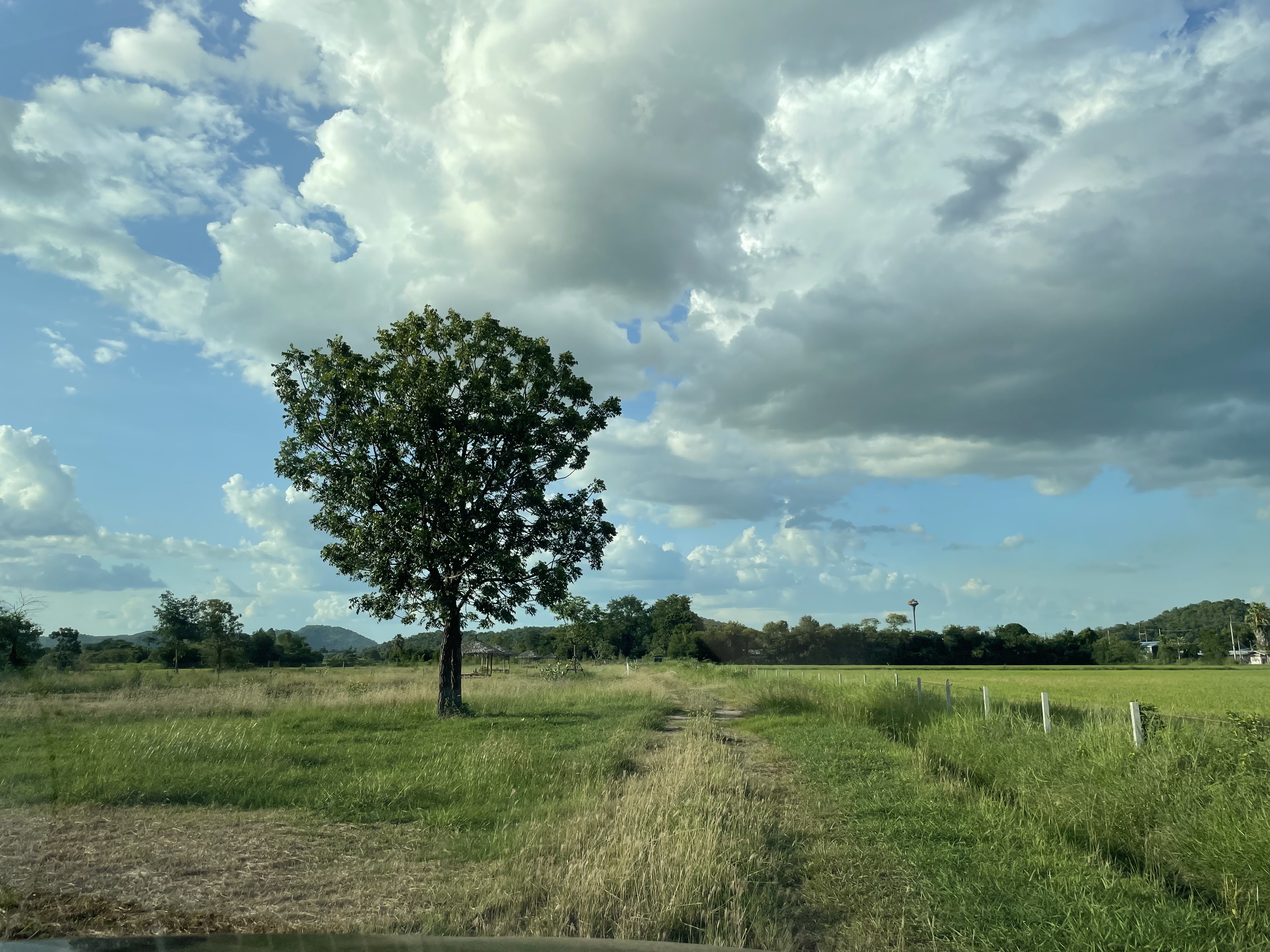 ขายที่ดินเปล่า ติดถนนใหญ่ ทำเลดี พร้อมสระเก็บน้ำส่วนตัว อ.บ้านโป่ง จ.ราชบุรี