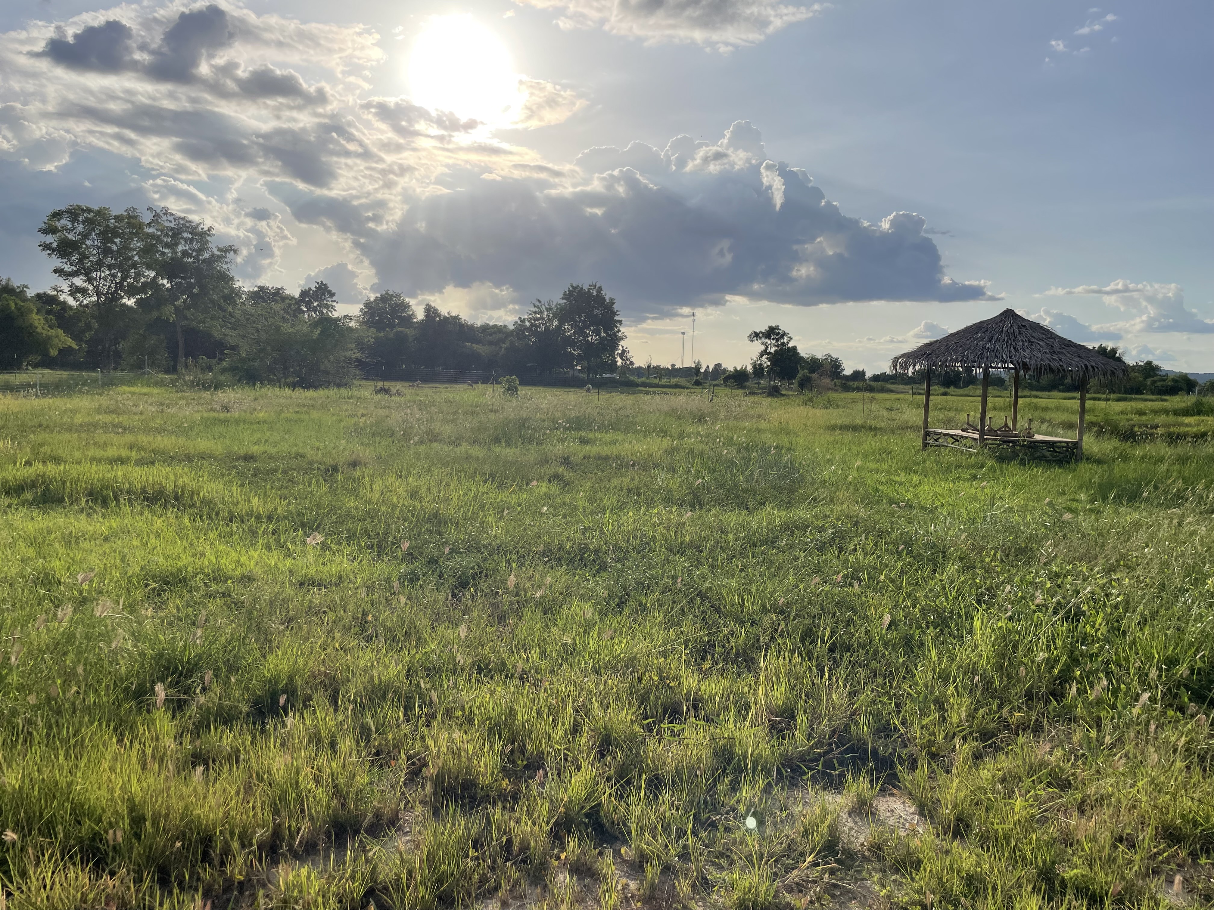 ขายที่ดินเปล่า ติดถนนใหญ่ ทำเลดี พร้อมสระเก็บน้ำส่วนตัว อ.บ้านโป่ง จ.ราชบุรี