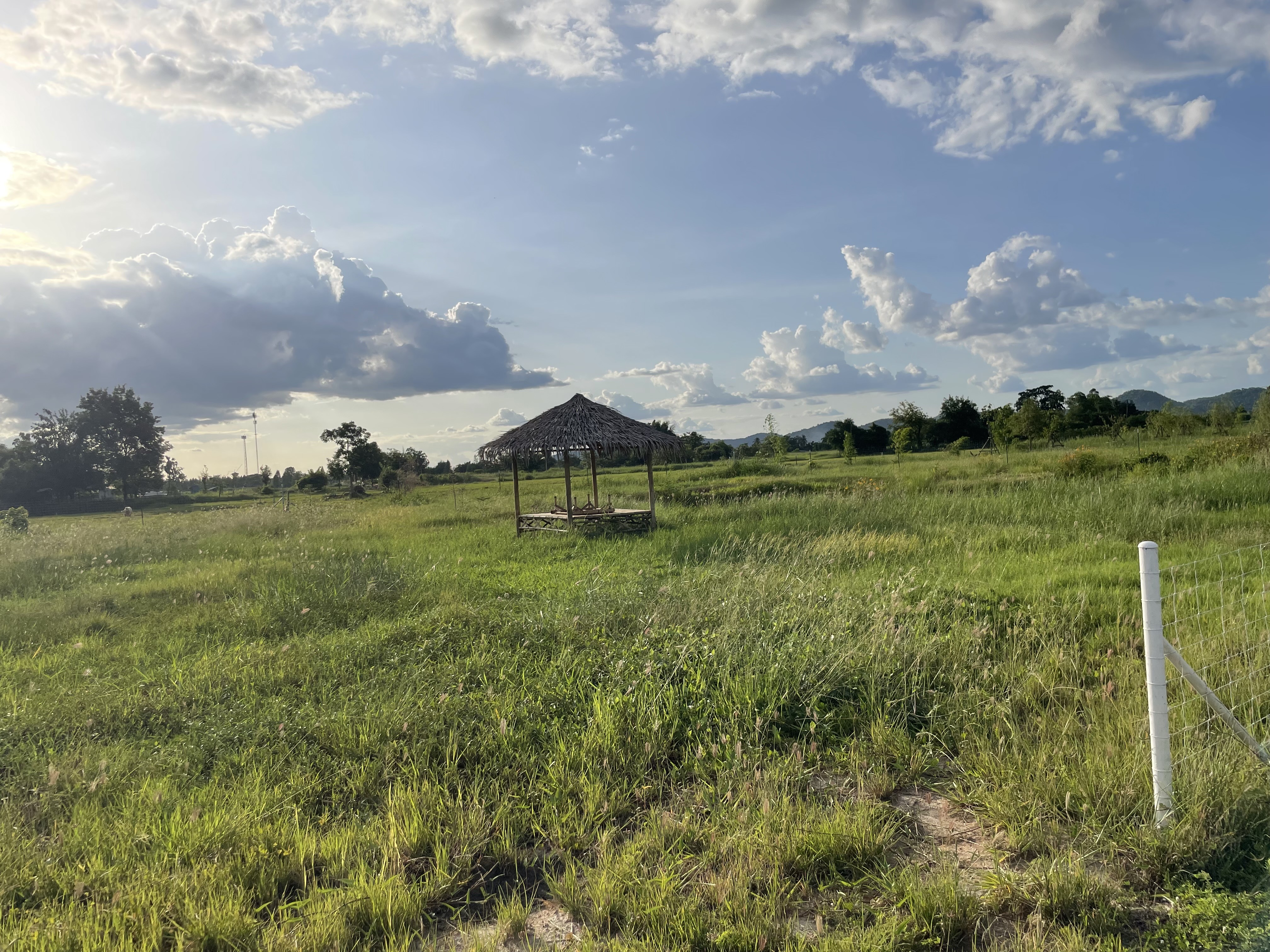 ขายที่ดินเปล่า ติดถนนใหญ่ ทำเลดี พร้อมสระเก็บน้ำส่วนตัว อ.บ้านโป่ง จ.ราชบุรี