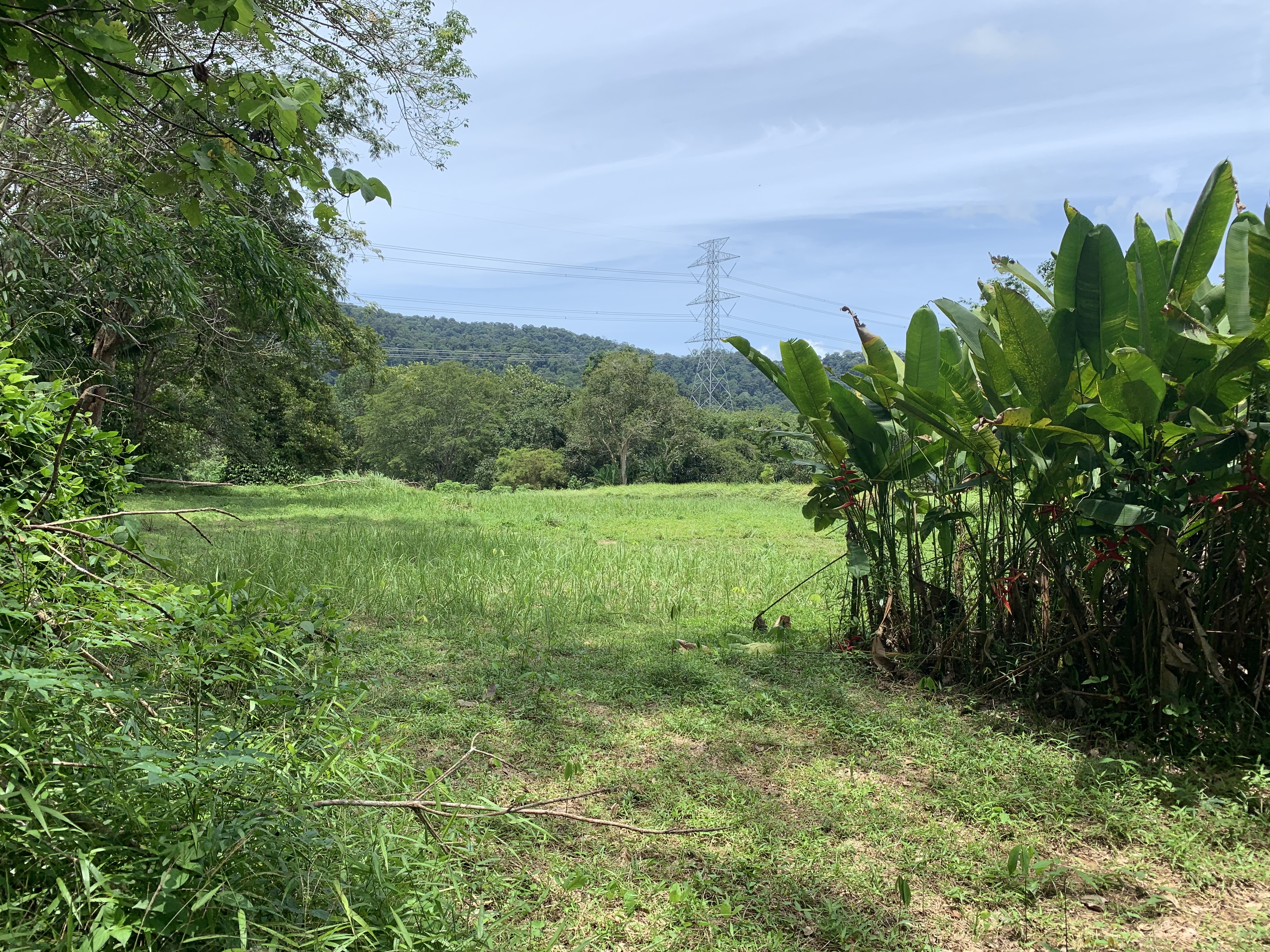 ขายที่ดินเปล่า ทำเลดี  อำเภอถลาง จังหวัดภูเก็ต