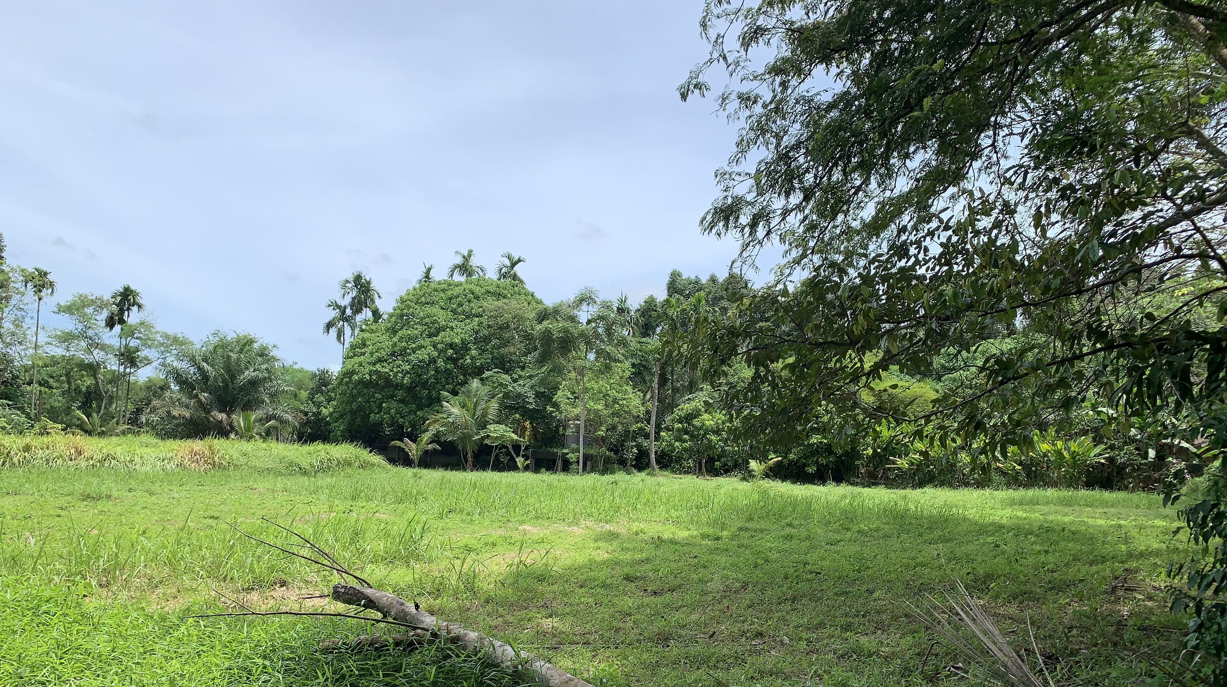 ขายที่ดินเปล่า ทำเลดี  อำเภอถลาง จังหวัดภูเก็ต