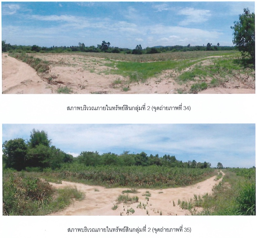 ขายที่ดินเปล่า แปลงใหญ่  ทำเลศักยภาพ อำเภอบางละมุง จังหวัดชลบุรี