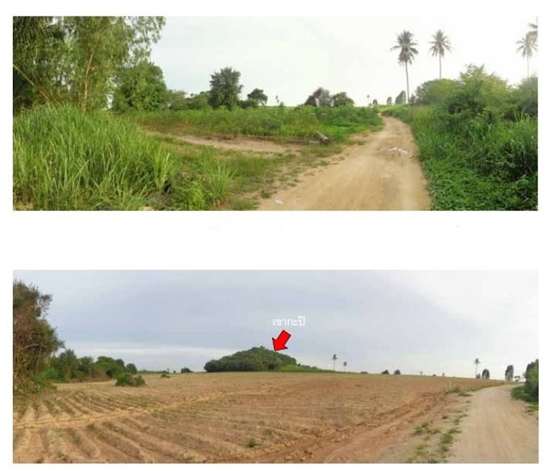 ขายที่ดินเปล่า แปลงใหญ่  ทำเลศักยภาพ อำเภอบางละมุง จังหวัดชลบุรี