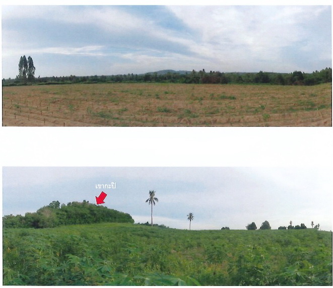 ขายที่ดินเปล่า แปลงใหญ่  ทำเลศักยภาพ อำเภอบางละมุง จังหวัดชลบุรี