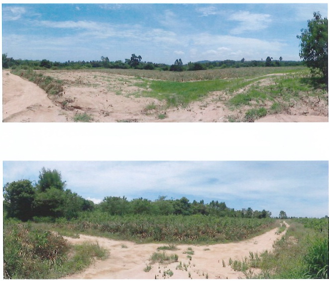 ขายที่ดินเปล่า แปลงใหญ่  ทำเลศักยภาพ อำเภอบางละมุง จังหวัดชลบุรี