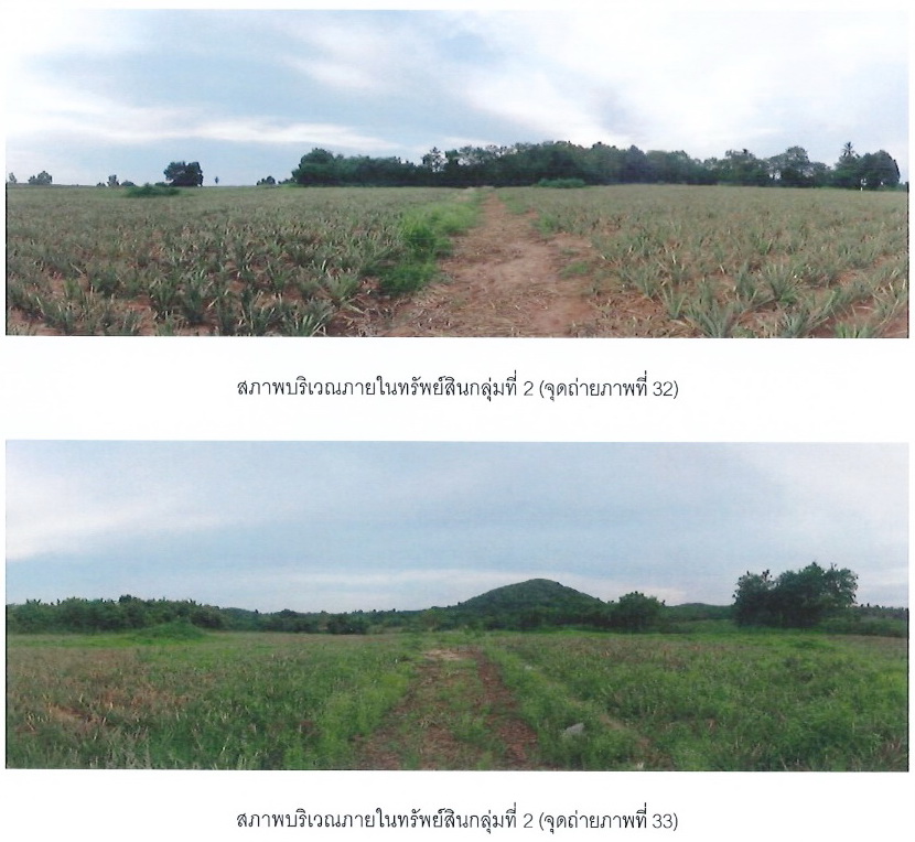 ขายที่ดินเปล่า แปลงใหญ่  ทำเลศักยภาพ อำเภอบางละมุง จังหวัดชลบุรี