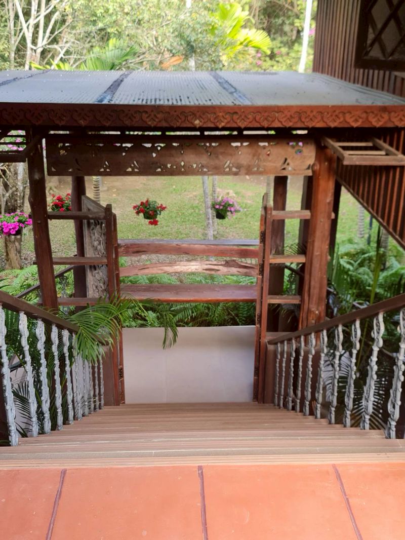 ขายที่ดินริมปิง 8 ไร่แถมบ้านล้านนา เหมาะทำ wellness ในราคาดีที่สุดติดต่อผึ้งรติ 061-941-9639