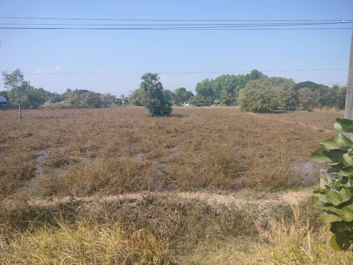 ขายที่ดินเปล่า ทำเลดี อำเภอเมืองมุกดาหาร จังหวัดมุกดาหาร