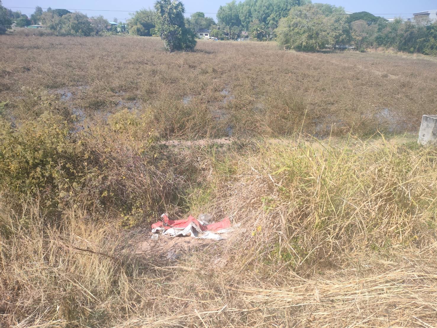 ขายที่ดินเปล่า ทำเลดี อำเภอเมืองมุกดาหาร จังหวัดมุกดาหาร