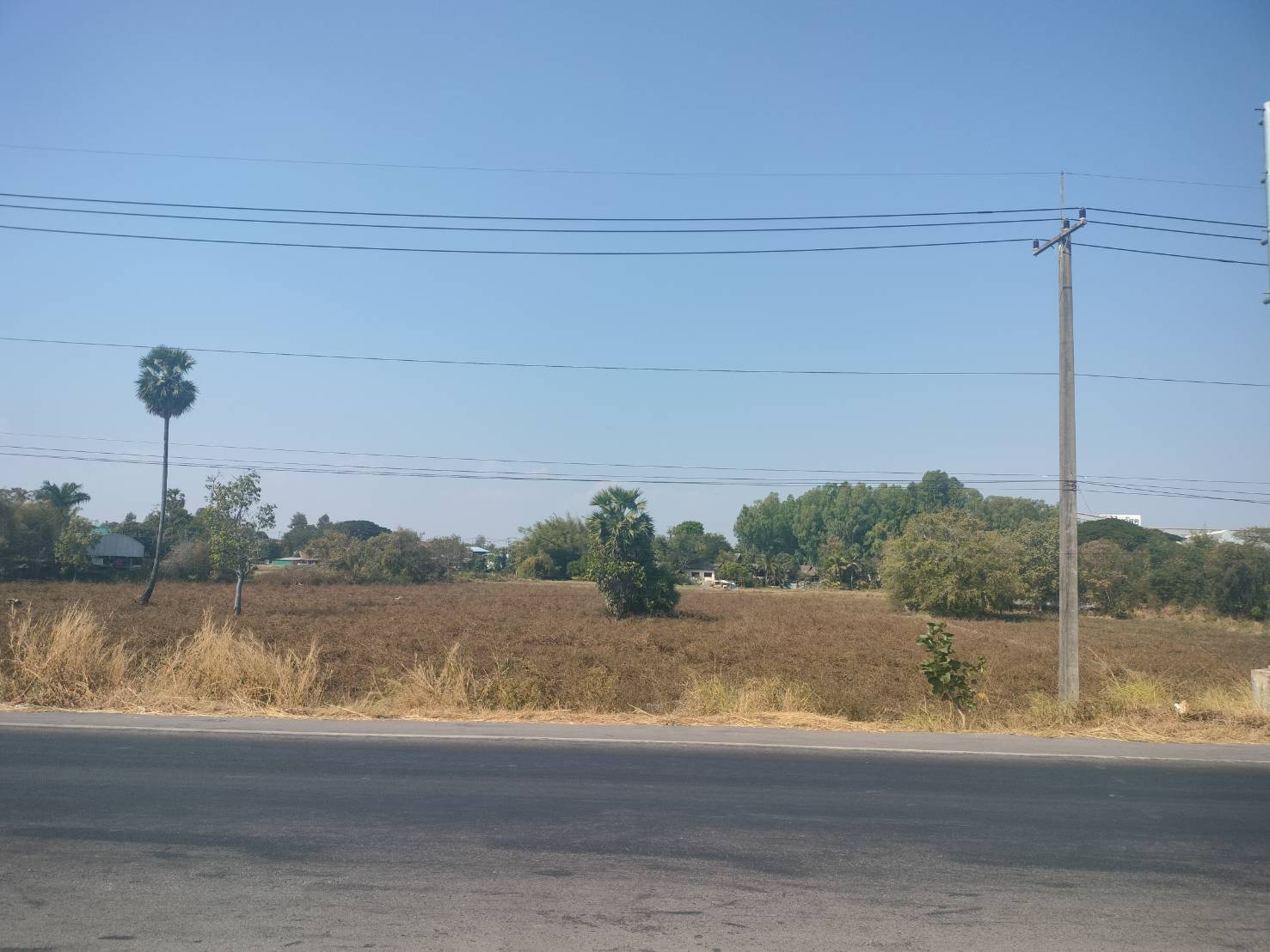 ขายที่ดินเปล่า ทำเลดี อำเภอเมืองมุกดาหาร จังหวัดมุกดาหาร