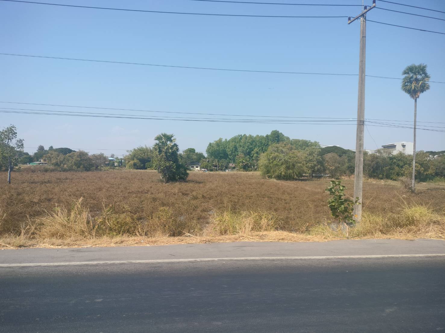 ขายที่ดินเปล่า ทำเลดี อำเภอเมืองมุกดาหาร จังหวัดมุกดาหาร