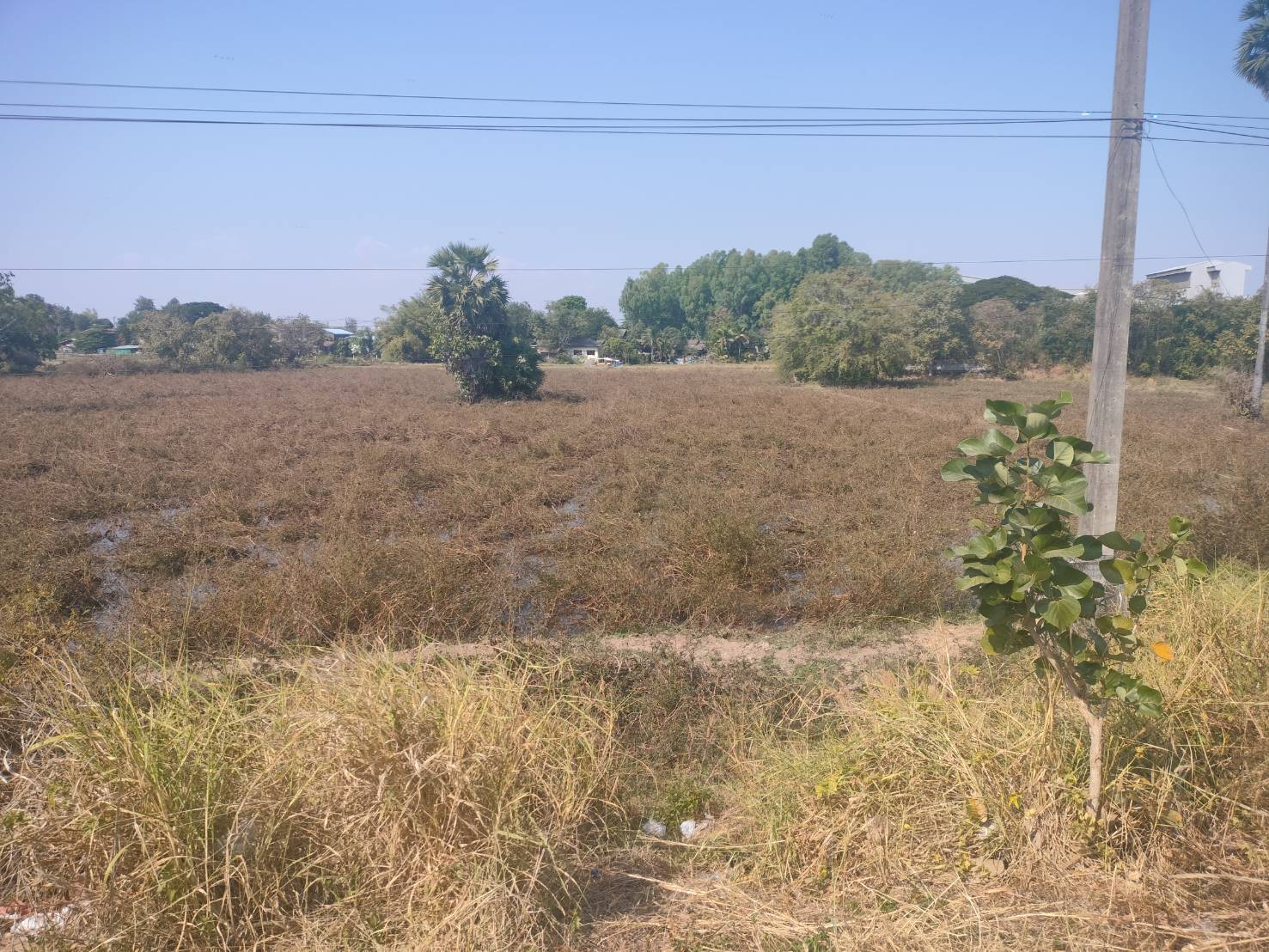 ขายที่ดินเปล่า ทำเลดี อำเภอเมืองมุกดาหาร จังหวัดมุกดาหาร