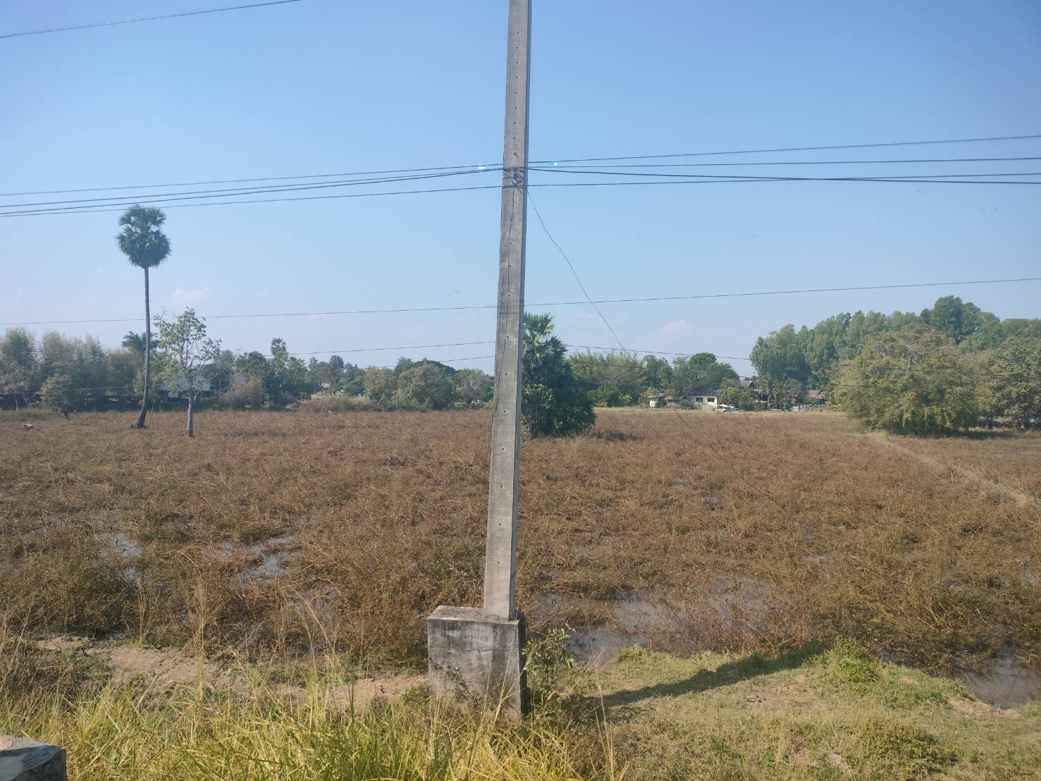 ขายที่ดินเปล่า ทำเลดี อำเภอเมืองมุกดาหาร จังหวัดมุกดาหาร