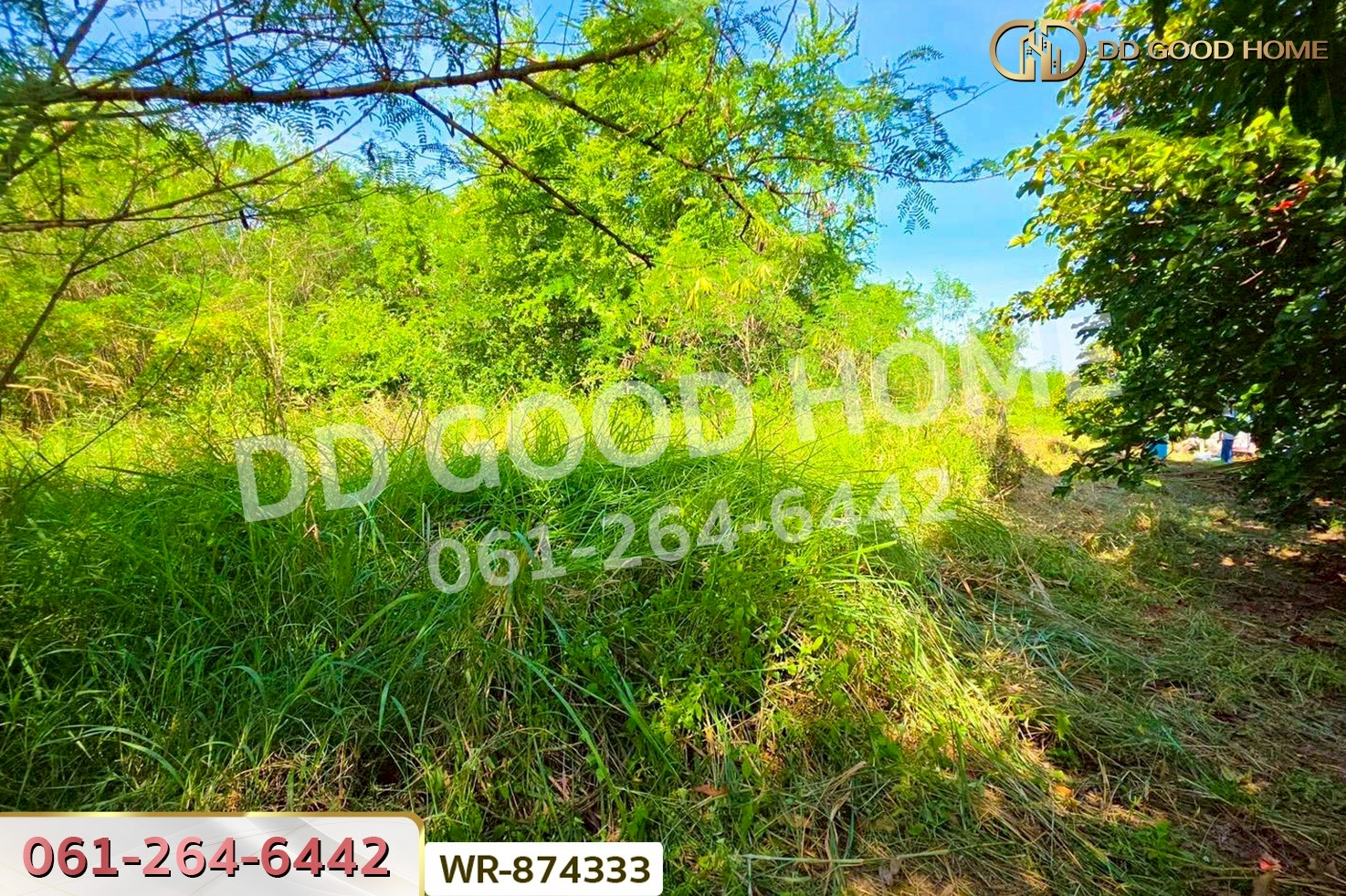 WR-874333 ที่ดินวังน้อย 39 ไร่ 379.1 ตร.ว. อยุธยา ใกล้โรงพยาบาลวังน้อย