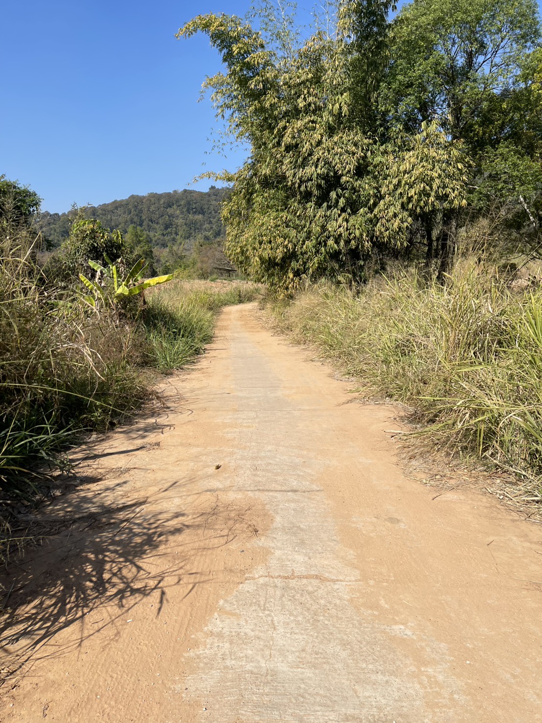 ขายที่ดินเปล่า12 ไร่ ทำเลสวย อากาศดี อำเภอภูเรือ จังหวัดเลย
