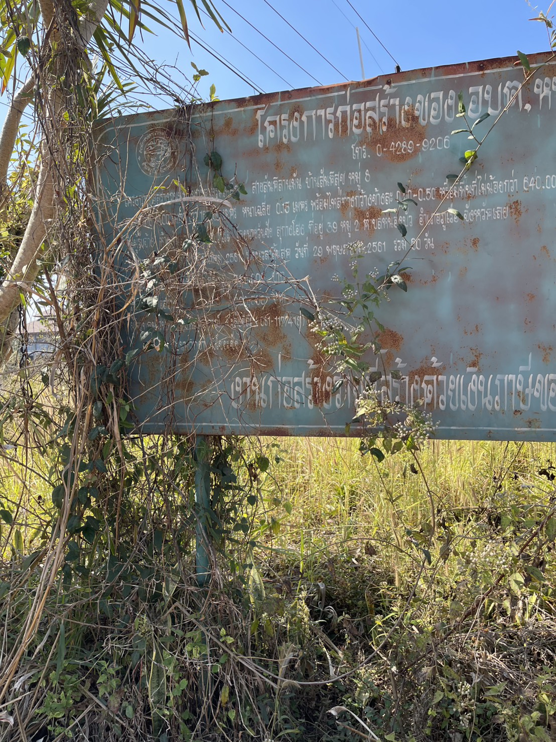 ขายที่ดินเปล่า12 ไร่ ทำเลสวย อากาศดี อำเภอภูเรือ จังหวัดเลย