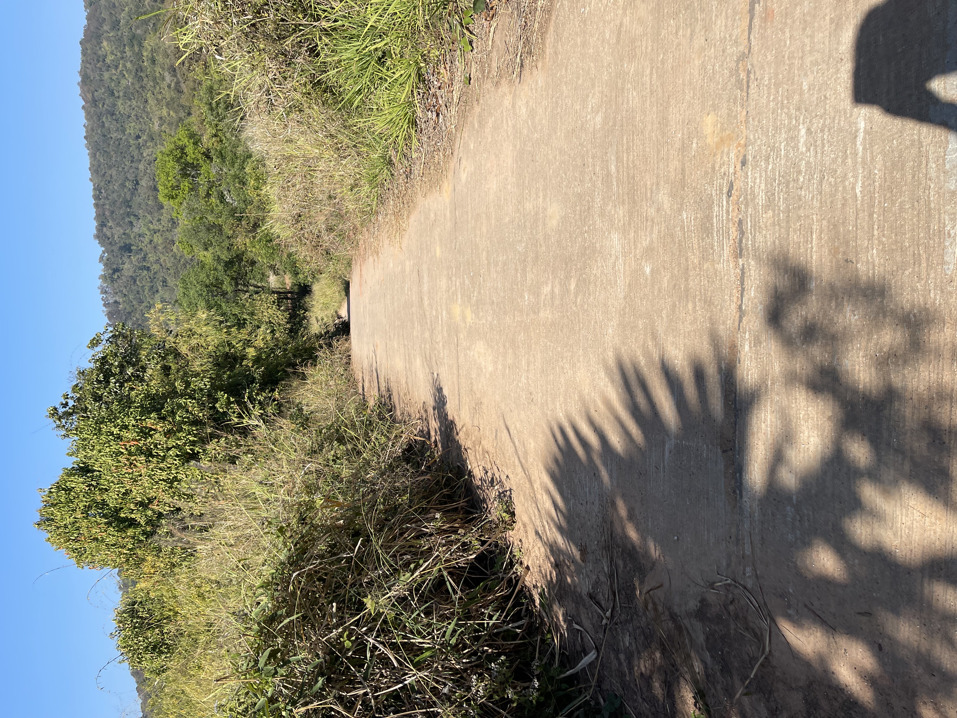 ขายที่ดินเปล่า12 ไร่ ทำเลสวย อากาศดี อำเภอภูเรือ จังหวัดเลย