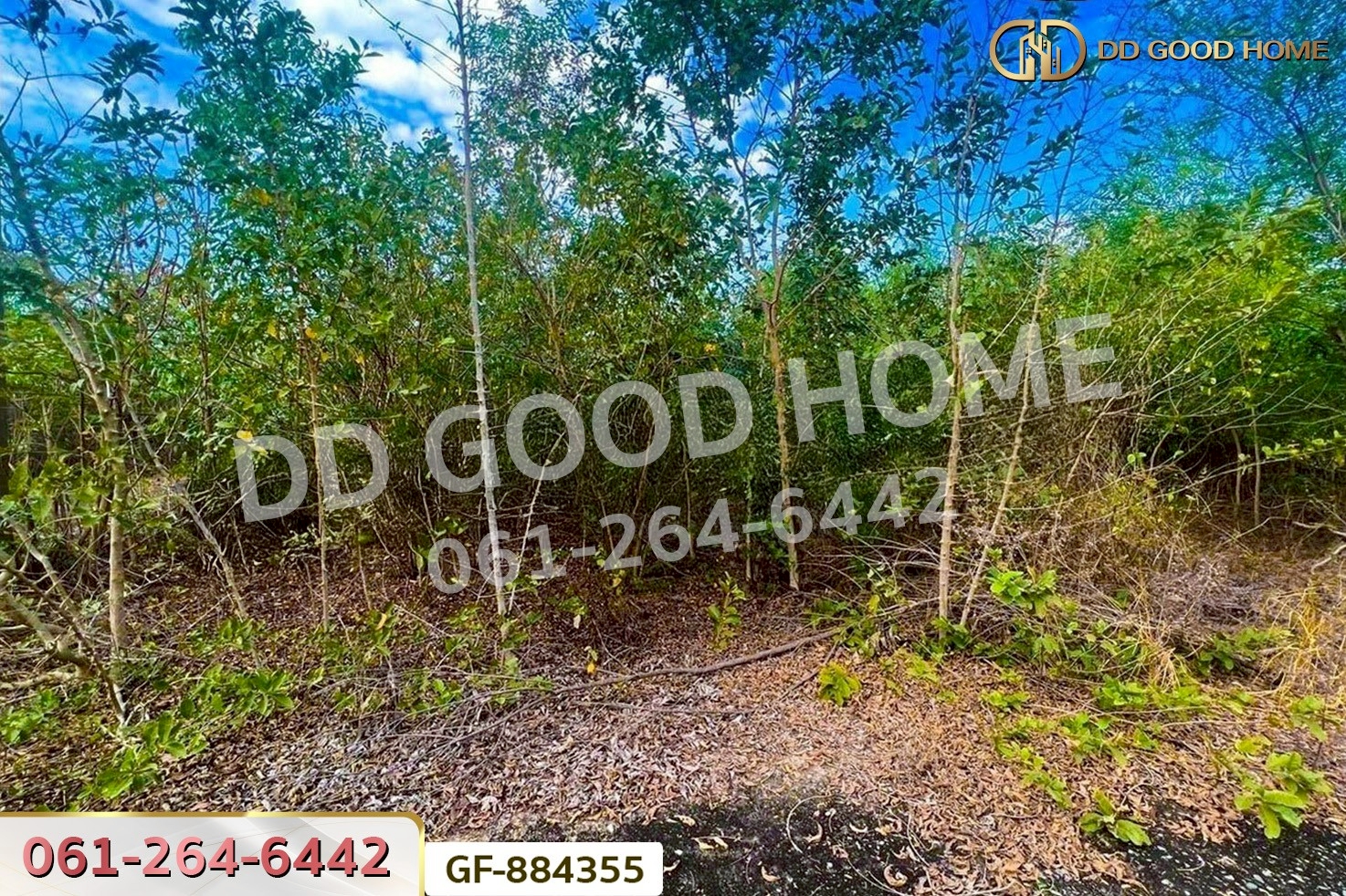 GF-884355 ที่ดินบางเลน 1 ไร่ 12 ตร.ว. นครปฐม ใกล้วัดไผ่โรงวัว