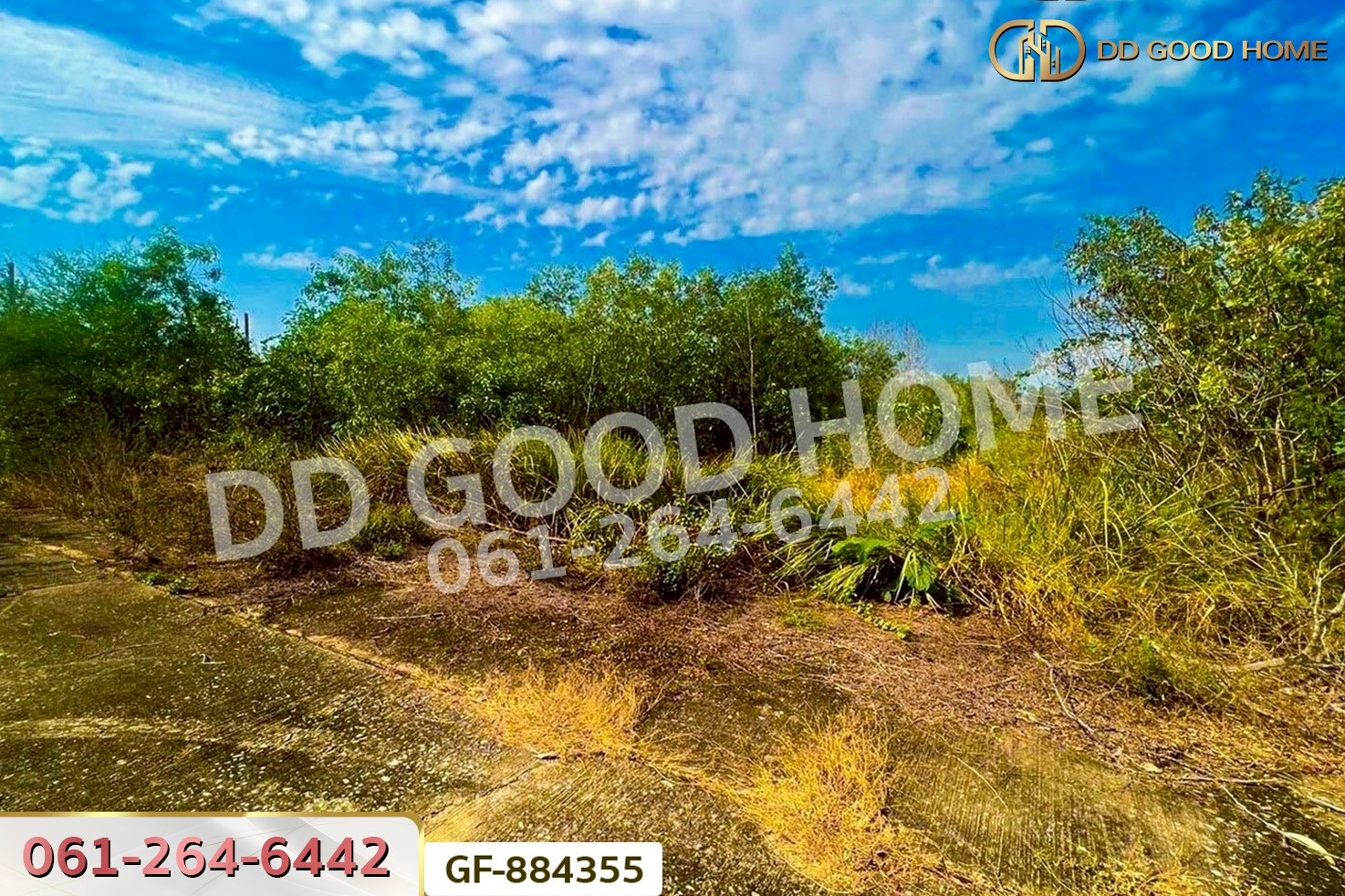 GF-884355 ที่ดินบางเลน 1 ไร่ 12 ตร.ว. นครปฐม ใกล้วัดไผ่โรงวัว