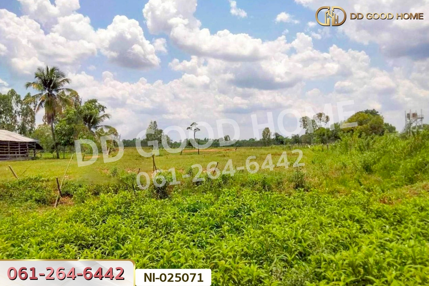 NI-025071 ที่ดินบ้านกรวด 7 ไร่ 86.4 ตร.ว. บุรีรัมย์ ใกล้โรงพยาบาลบ้านกรวด