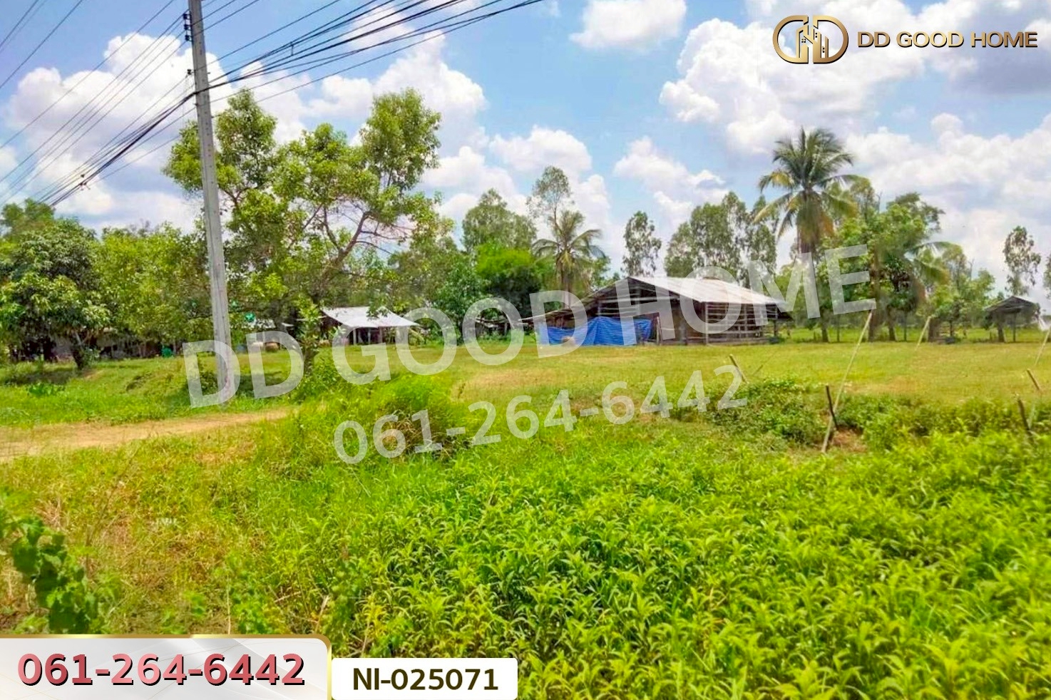 NI-025071 ที่ดินบ้านกรวด 7 ไร่ 86.4 ตร.ว. บุรีรัมย์ ใกล้โรงพยาบาลบ้านกรวด