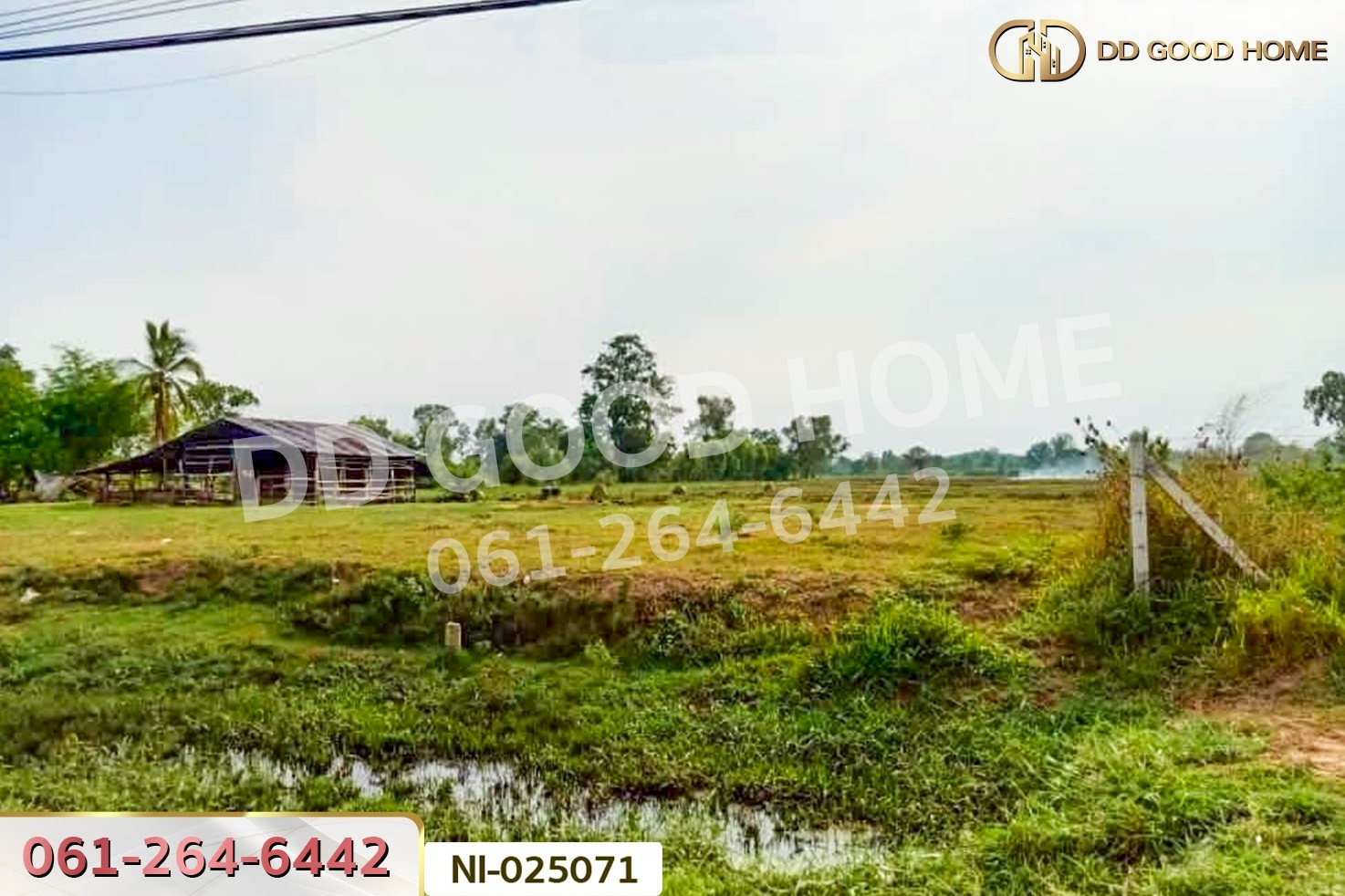 NI-025071 ที่ดินบ้านกรวด 7 ไร่ 86.4 ตร.ว. บุรีรัมย์ ใกล้โรงพยาบาลบ้านกรวด