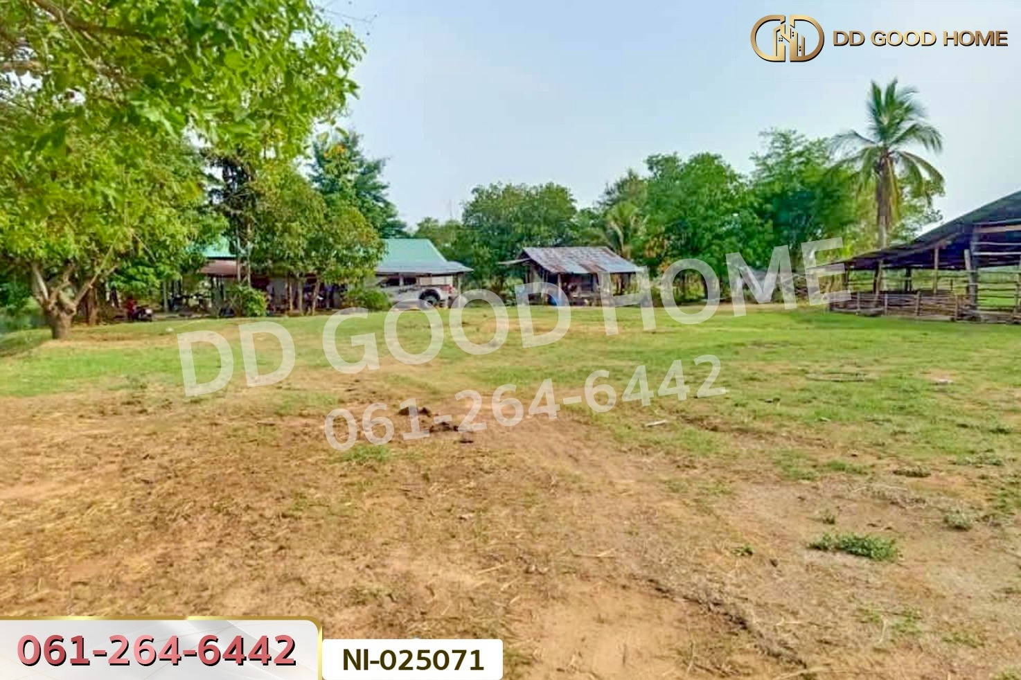 NI-025071 ที่ดินบ้านกรวด 7 ไร่ 86.4 ตร.ว. บุรีรัมย์ ใกล้โรงพยาบาลบ้านกรวด