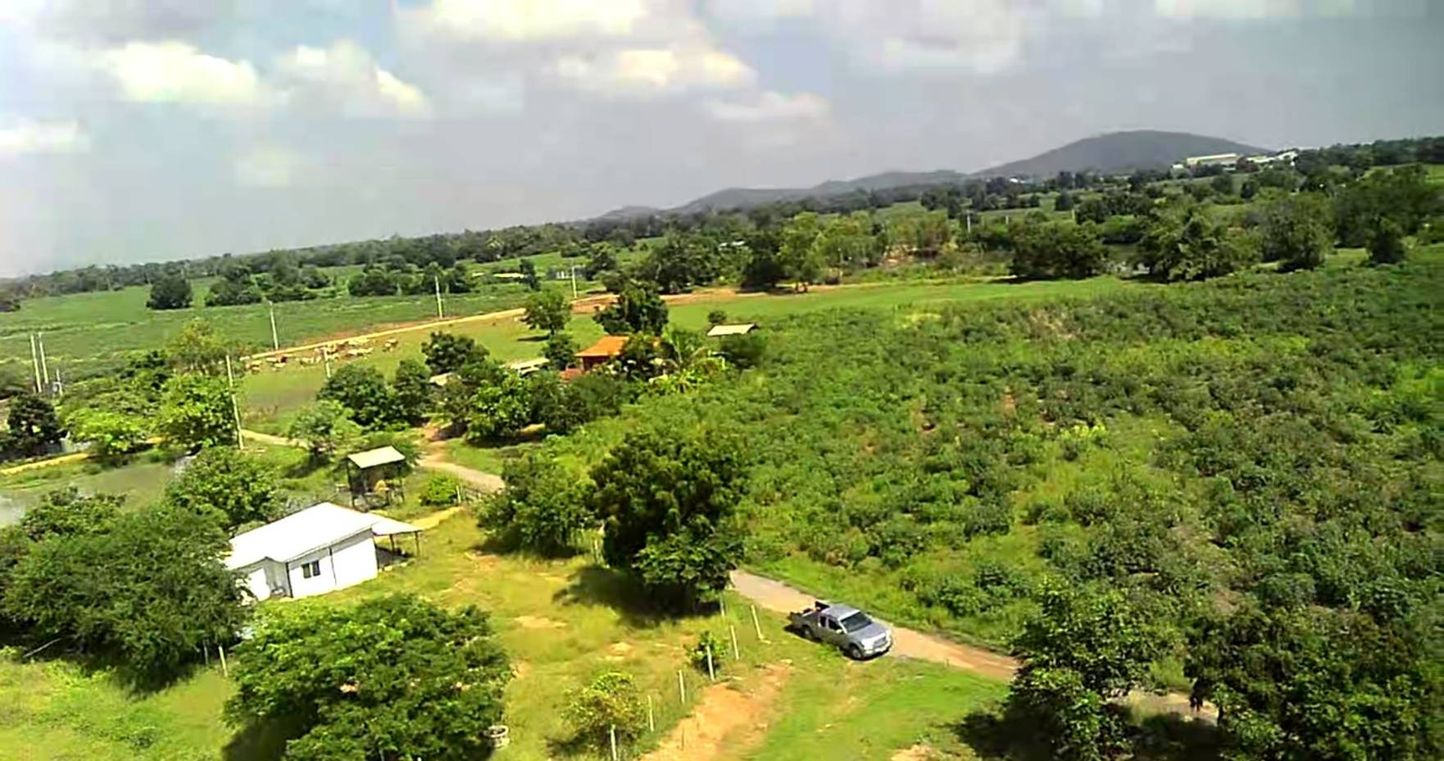 ขายที่ดินเปล่า ทำเลดี ติดถนนปูน ไฟฟ้าถึง จังหวัดสุพรรณบุรี