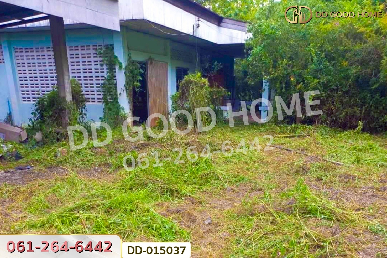 DD-015037 ที่ดินพาน 9 ไร่ 54 ตร.ว. เชียงราย ใกล้ที่ทำการองค์การบริหารส่วนตำบลเจริญเมือง