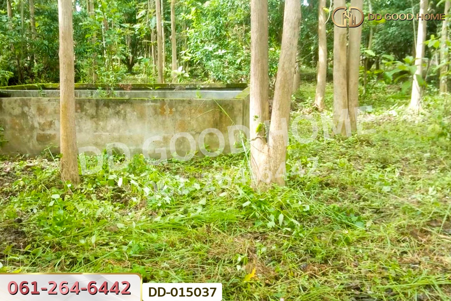 DD-015037 ที่ดินพาน 9 ไร่ 54 ตร.ว. เชียงราย ใกล้ที่ทำการองค์การบริหารส่วนตำบลเจริญเมือง