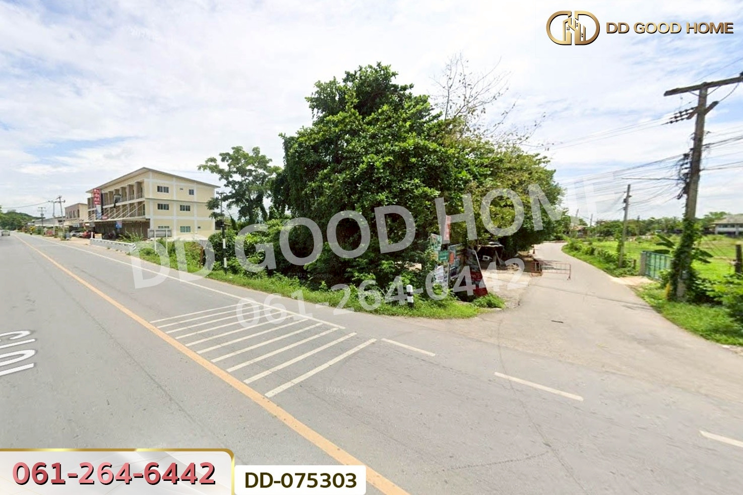 DD-075303 ที่ดินริมปิง 2 ไร่ 116 ตร.ว. ลำพูน ใกล้วัดพระธาตุหริภุญชัย วรมหาวิหาร