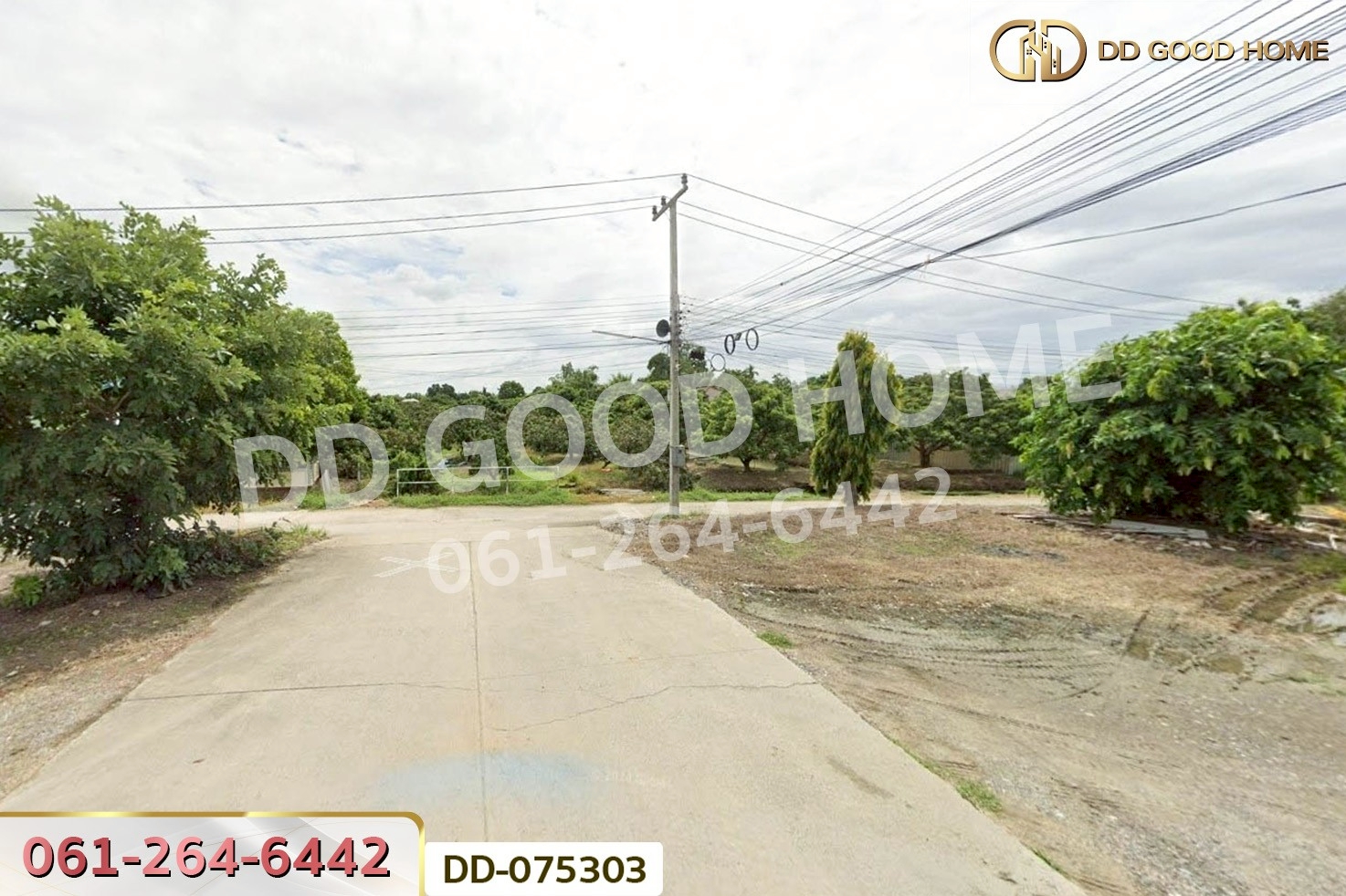 DD-075303 ที่ดินริมปิง 2 ไร่ 116 ตร.ว. ลำพูน ใกล้วัดพระธาตุหริภุญชัย วรมหาวิหาร