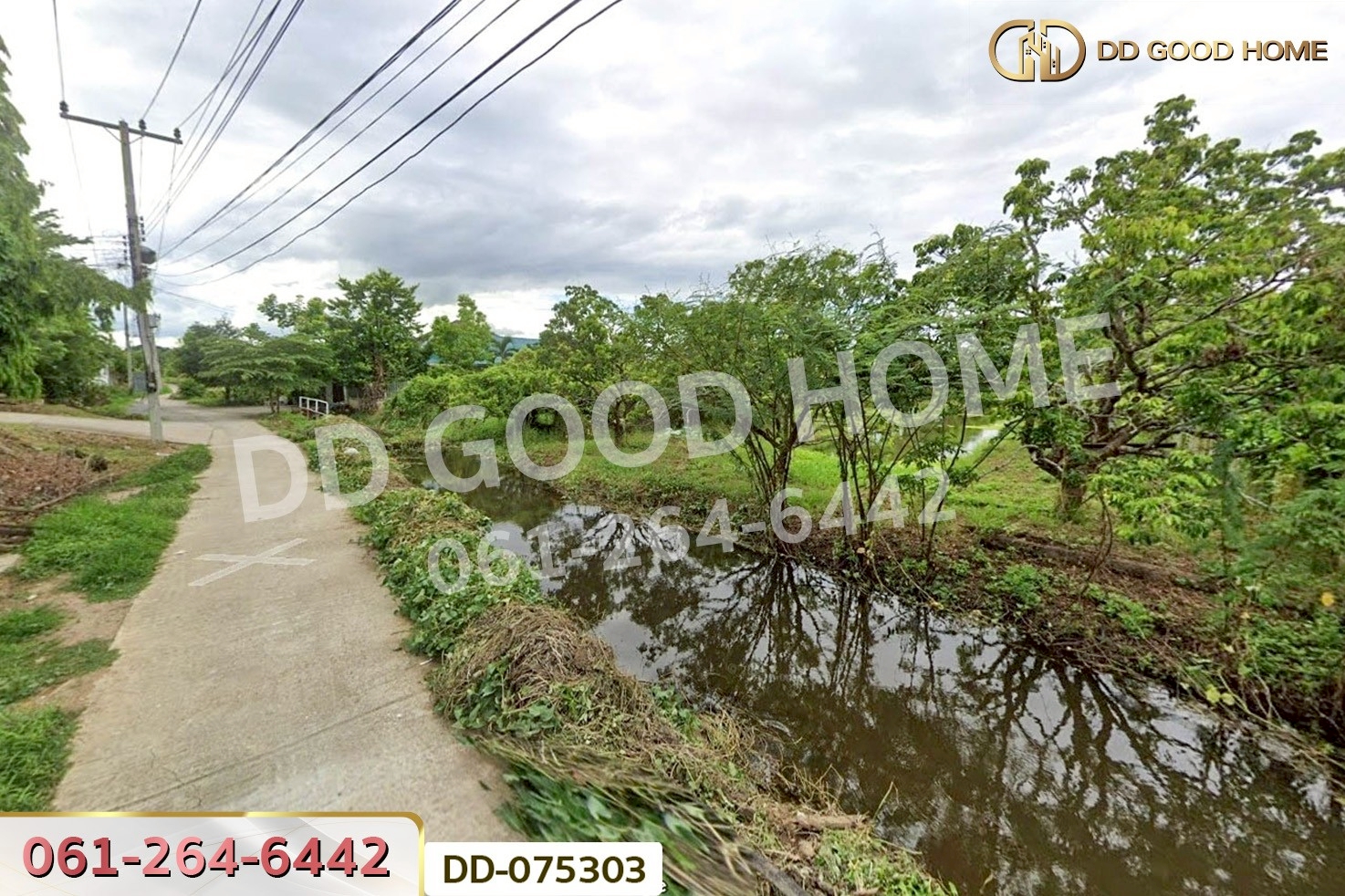 DD-075303 ที่ดินริมปิง 2 ไร่ 116 ตร.ว. ลำพูน ใกล้วัดพระธาตุหริภุญชัย วรมหาวิหาร