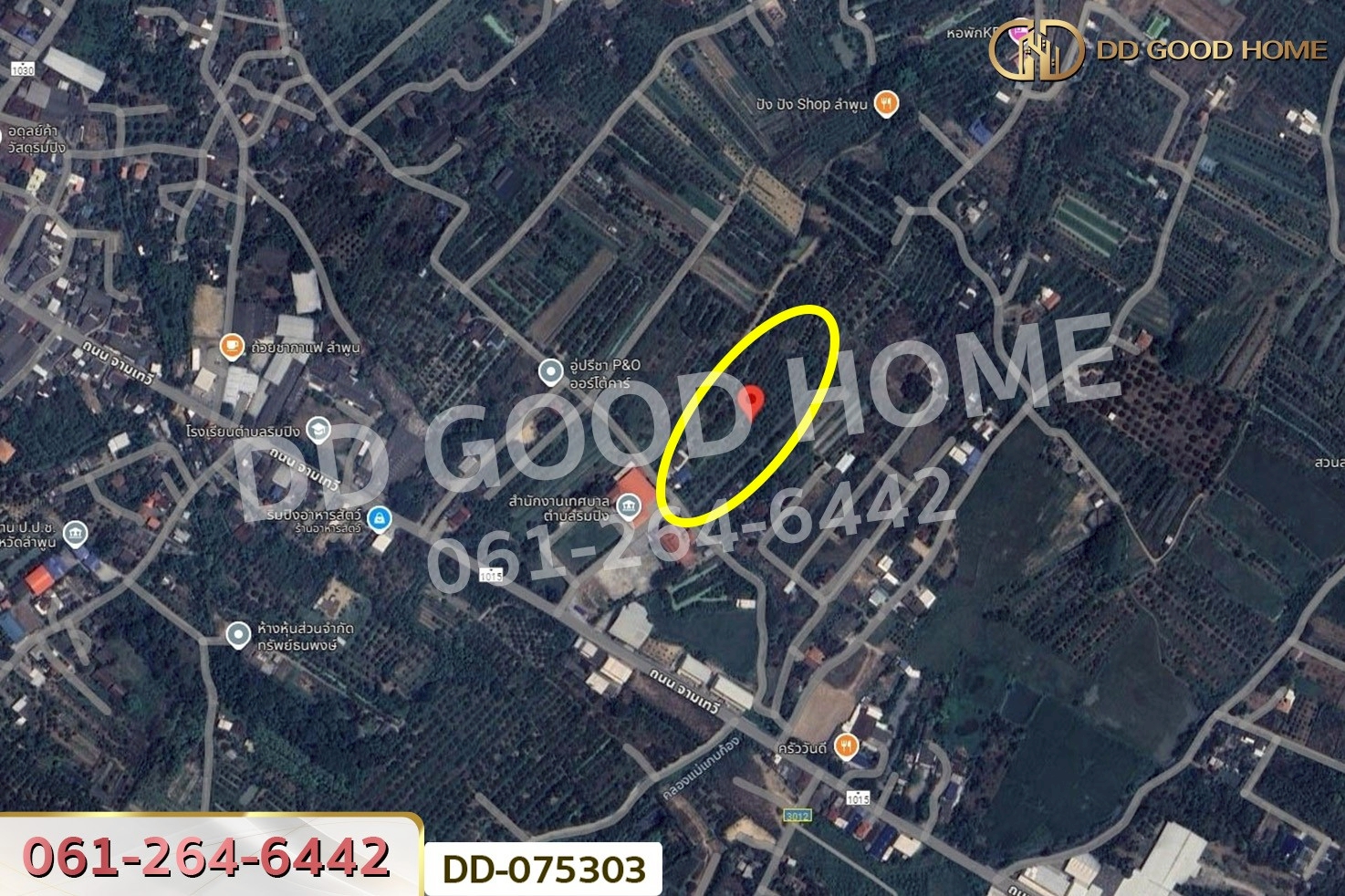 DD-075303 ที่ดินริมปิง 2 ไร่ 116 ตร.ว. ลำพูน ใกล้วัดพระธาตุหริภุญชัย วรมหาวิหาร