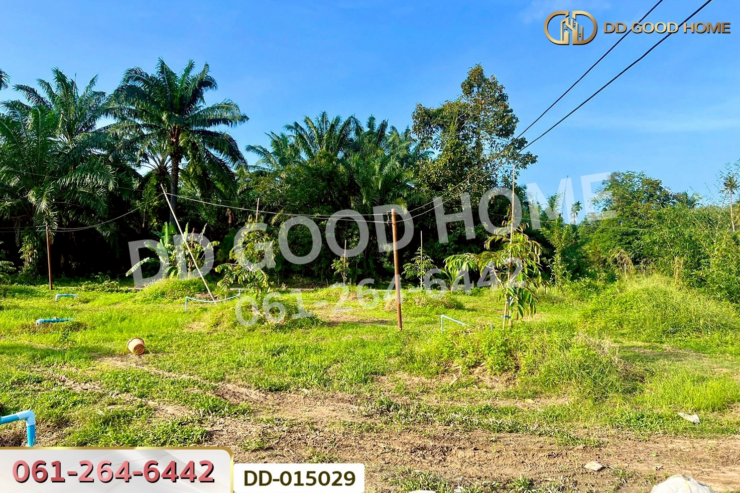 DD-015029 ที่ดินสิชล 9 ไร่ 356 ตร.ว.นครศรีธรรมราช ใกล้หาดท่าหมาก