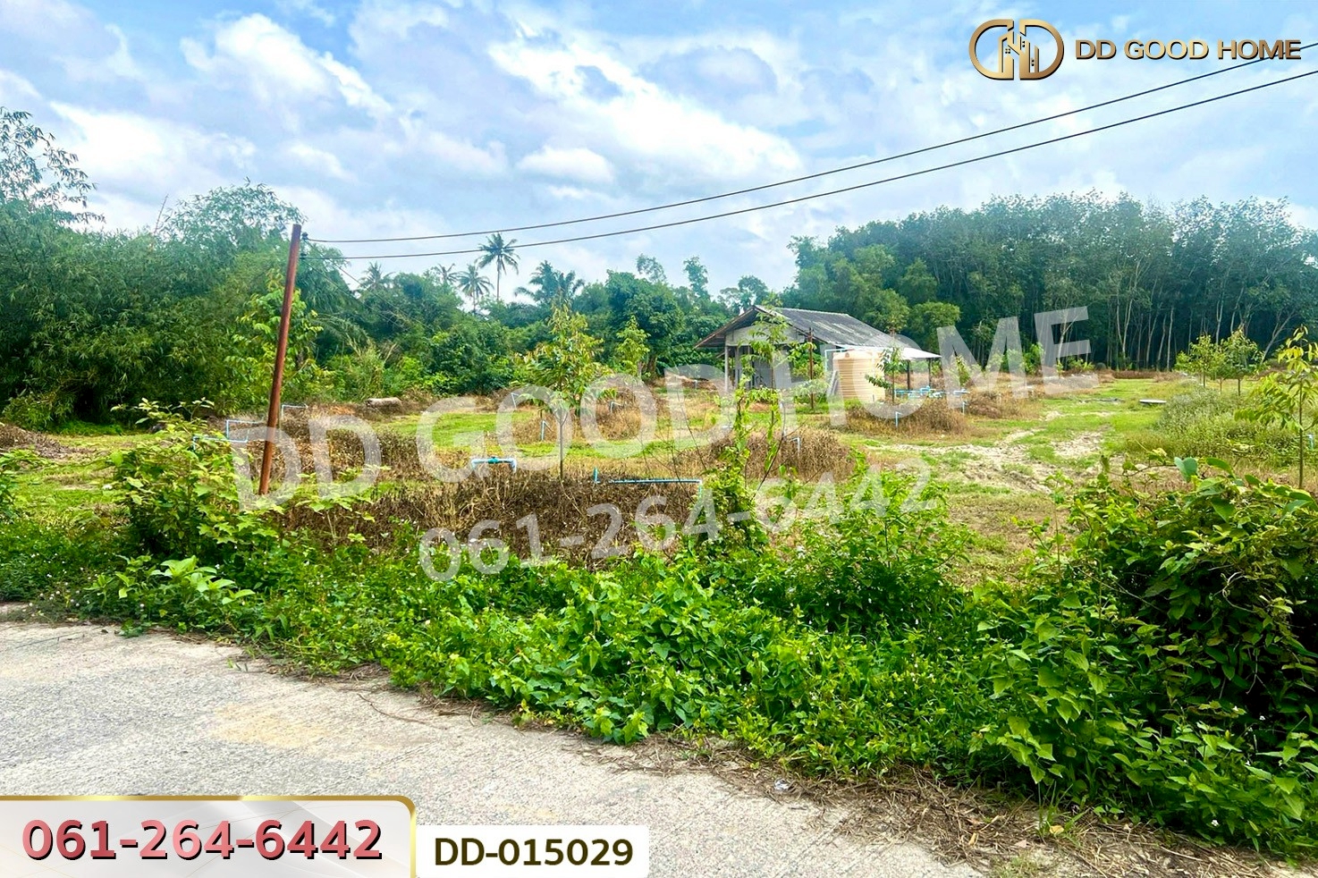 DD-015029 ที่ดินสิชล 9 ไร่ 356 ตร.ว.นครศรีธรรมราช ใกล้หาดท่าหมาก